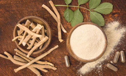 Ashwagandha voor slaapstoornissen: zachte hulp voor een betere slaap