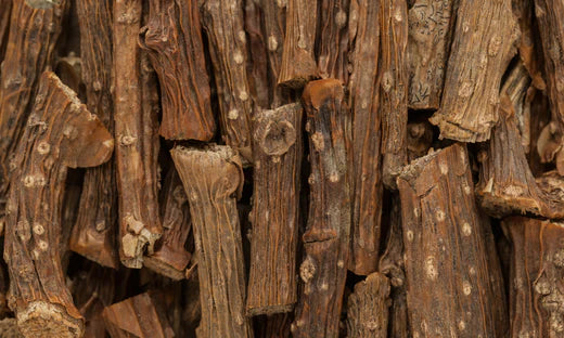 Ervaring met Guduchi: de beginnershandleiding voor de ayurvedische plant