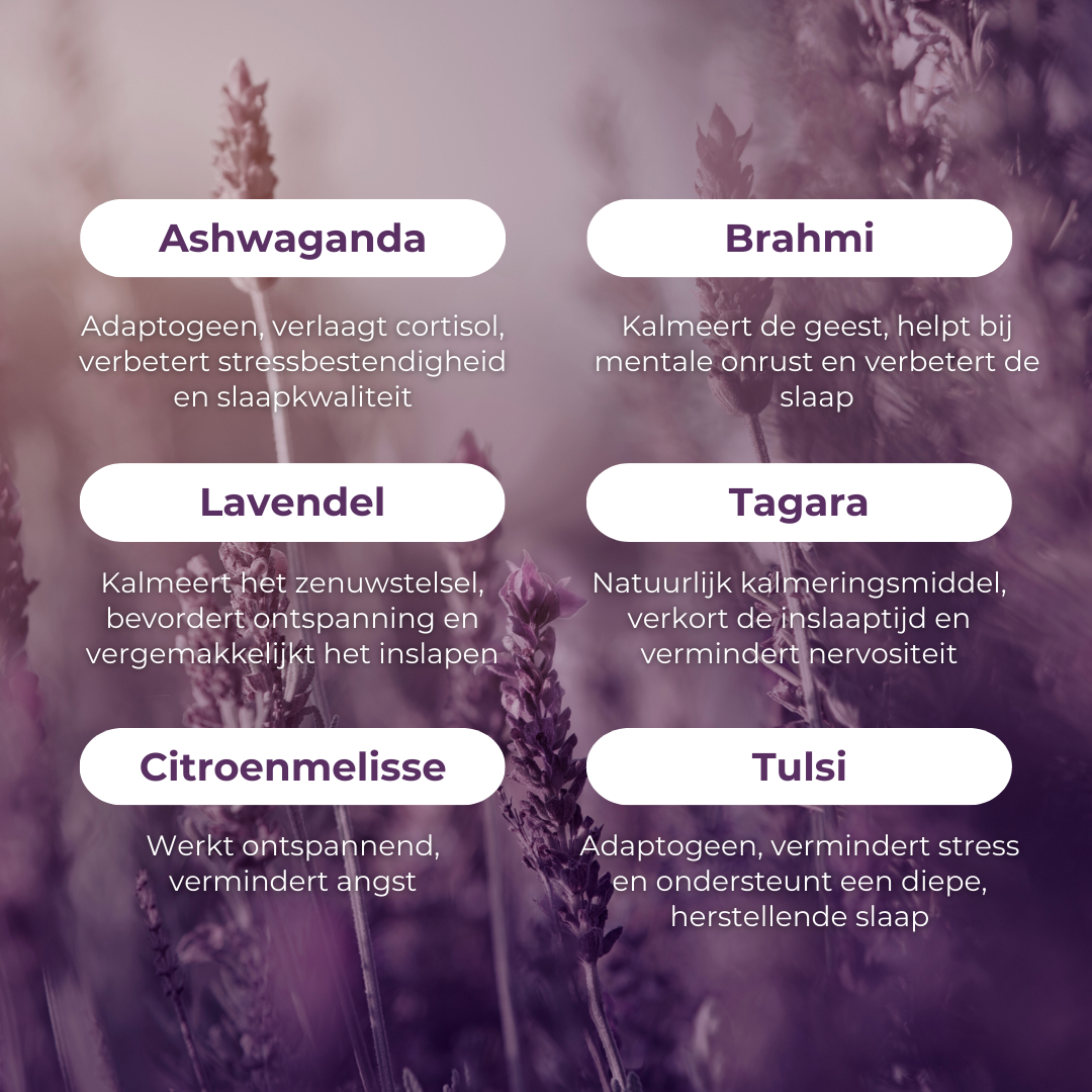 vedi dream